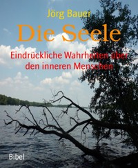 Die Seele - Jörg Bauer - kostenlos E-Book