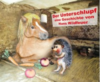 Der Unterschlupf - Hans Wildfeuer - E-Book