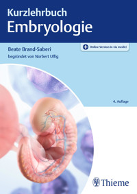 Kurzlehrbuch Embryologie - Beate Brand-Saberi - E-Book