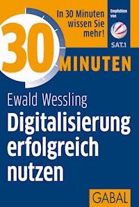 30 Minuten Digitalisierung erfolgreich nutzen - Ewald Wessling - E-Book