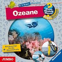 Ozeane [Wieso? Weshalb? Warum? PROFIWISSEN Folge 19] - Sabine Lipan - Hörbuch