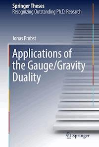 Applications of the Gauge/Gravity Duality - Jonas Probst - E-Book
