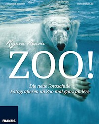 Zoo - Regine Heuser - E-Book