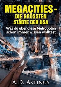 Die neun größten Städte der USA - A.D. Astinus - E-Book