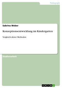 Konzeptionsentwicklung im Kindergarten - Sabrina Weber - E-Book