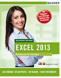 Excel 2013 Basiswissen - Anja Schmid - E-Book