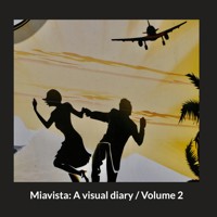 Miavista: A visual diary / Volume 2 - Heinz Nigg - E-Book