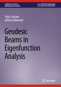 Geodesic Beams in Eigenfunction Analysis - Yaiza Canzani - E-Book