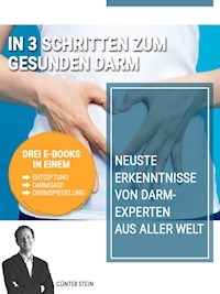In 3 Schritten zum gesunden Darm - Günter Stein - E-Book