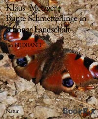 Bunte Schmetterlinge in schöner Landschaft - Klaus Metzger - kostenlos E-Book