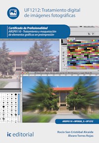 Tratamiento digital de imágenes fotográficas. ARGP0110 - Álvaro Torres Rojas - E-Book