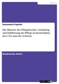 Die Historie des Pflegeberufes. Gründung und Etablierung der Pflege in Deutschland, den USA und der Schweiz - Annemarie Fajardo - E-Book