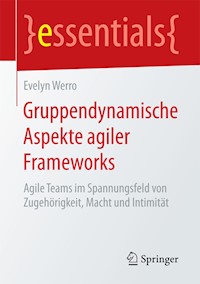 Gruppendynamische Aspekte agiler Frameworks - Evelyn Werro - E-Book