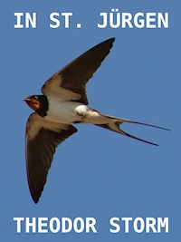 In St. Jürgen - Theodor Storm - E-Book