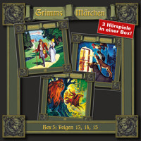 Grimms Märchen, Box 5: Folgen 13, 14, 15 - Brüder Grimm - Hörbuch