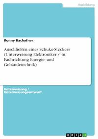 Anschließen eines Schuko-Steckers (Unterweisung Elektroniker / -in, Fachrichtung Energie- und Gebäudetechnik) - Ronny Bachofner - E-Book