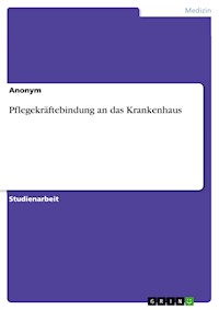 Pflegekräftebindung an das Krankenhaus - - E-Book