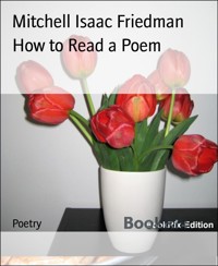 How to Read a Poem - Mitchell Isaac Friedman - E-Book