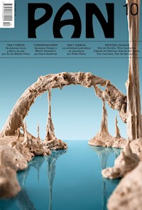 PAN 10 - aa.vv - E-Book