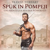 Spuk in Pompeji (Ungekürzt) - Franjo Terhart - Hörbuch