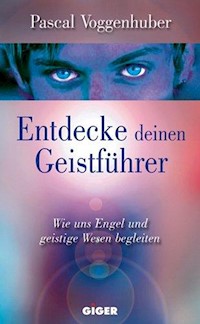 Entdecke deinen Geistführer - Voggenhuber Pascal - E-Book