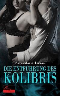 Hard & Heart 1: Die Entführung des Kolibris - Sara-Maria Lukas - E-Book