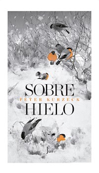 Sobre hielo - Peter Kurzeck - E-Book