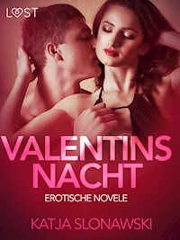 Valentinsnacht: Erotische Novelle - Katja Slonawski - E-Book