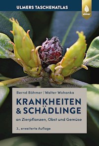 Krankheiten & Schädlinge an Zierpflanzen, Obst und Gemüse - Bernd Böhmer - E-Book