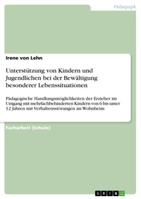 Unterstützung von Kindern und Jugendlichen bei der Bewältigung besonderer Lebenssituationen - Irene von Lehn - E-Book