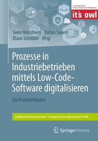 Prozesse in Industriebetrieben mittels Low-Code-Software digitalisieren - - E-Book