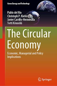 The Circular Economy - Pablo del Río - E-Book