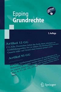 Grundrechte - Volker Epping - E-Book