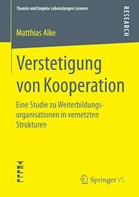 Verstetigung von Kooperation - Matthias Alke - E-Book