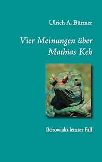 Vier Meinungen über Mathias Keh - Ulrich A. Büttner - E-Book