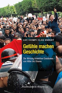 Gefühle machen Geschichte - Luc Ciompi - E-Book