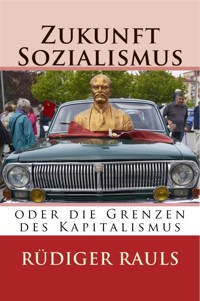 Zukunft Sozialismus - Rüdiger Rauls - E-Book