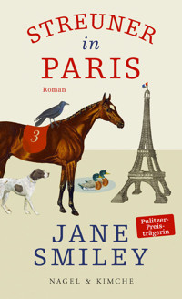 Streuner in Paris - Jane Smiley - E-Book