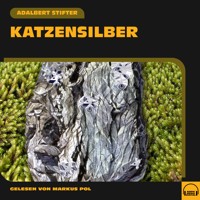 Katzensilber - Adalbert  Stifter - Hörbuch
