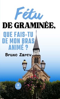 Fétu de graminée, que fais-tu de mon bras animé ? - Bruno Zarev - E-Book