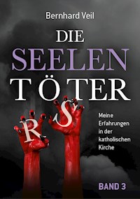 Die Seelentöter – Band 3: Klinikseelsorge in Stuttgart - Bernhard Veil - E-Book