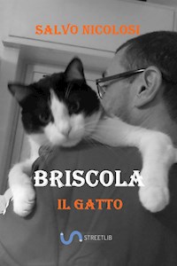 Briscola il Gatto - Salvo Nicolosi - E-Book