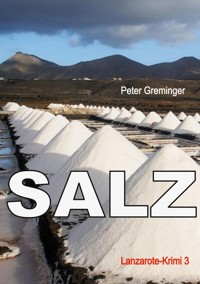 Salz - Peter Greminger - E-Book