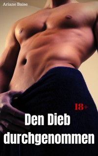 Den Dieb durchgenommen - Ariane Baise - E-Book