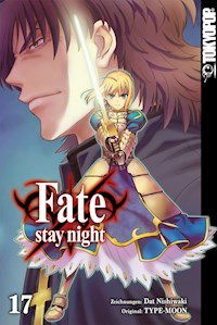 Fate/stay night - Einzelband 17 - Dat NISHIWAKI - E-Book