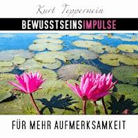 Bewusstseinsimpulse für mehr Aufmerksamkeit - Kurt Tepperwein - Hörbuch