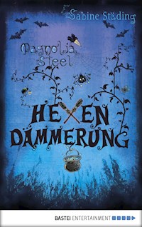 Magnolia Steel - Sabine Städing - E-Book