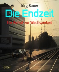 Die Endzeit - Jörg Bauer - kostenlos E-Book