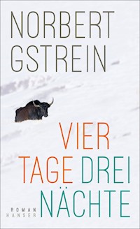 Vier Tage, drei Nächte - Norbert Gstrein - E-Book