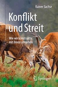 Konflikt und Streit - Rainer Sachse - E-Book
